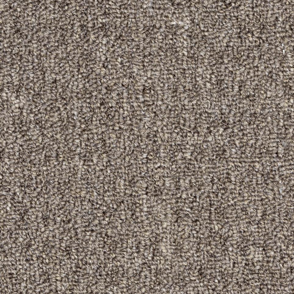 Curious Cattle Zoomed Swatch