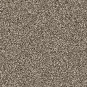 Homestead Zoomed Swatch