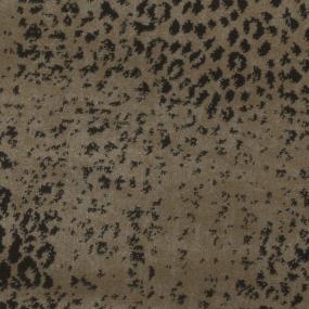 Expedition Zoomed Swatch