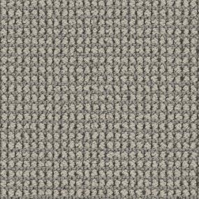 Ashes Zoomed Swatch