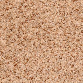 Treasured Moment - Oatmeal Raisin Swatch