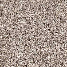 Sageview Zoomed Swatch