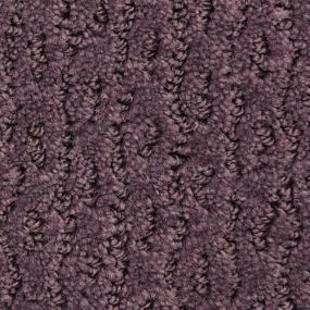 Montalcino - Sangiovese Swatch
