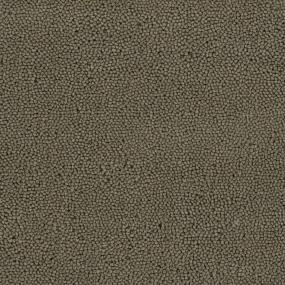 Everest - Earthtone Swatch