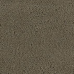 Earthtone Zoomed Swatch