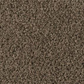 Soft Eloquence - Aberdeen Swatch