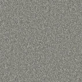 Shady Lane Zoomed Swatch