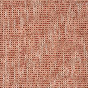 Samba - Papaya Swatch