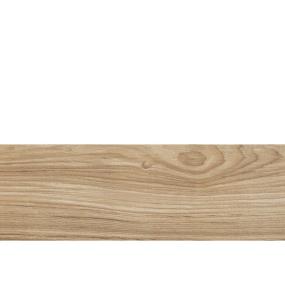 Ginger Matte Zoomed Swatch