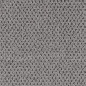 Misty Gray Zoomed Swatch