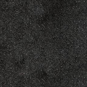 Ebony Zoomed Swatch