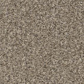 Sea Shell Zoomed Swatch