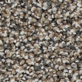 Magnetic Allure R436831200 - Homestead Swatch