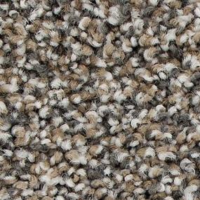 Homestead Zoomed Swatch