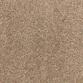 Chocolate Swatch Thumbnail
