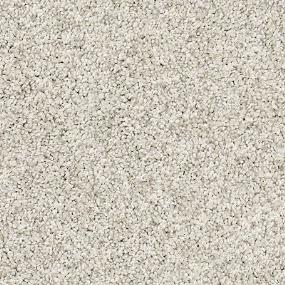 Whimsical Wonderland - Wise Swatch