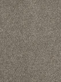Baltic Birch Swatch Thumbnail