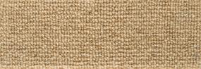 Forester - Beige Swatch