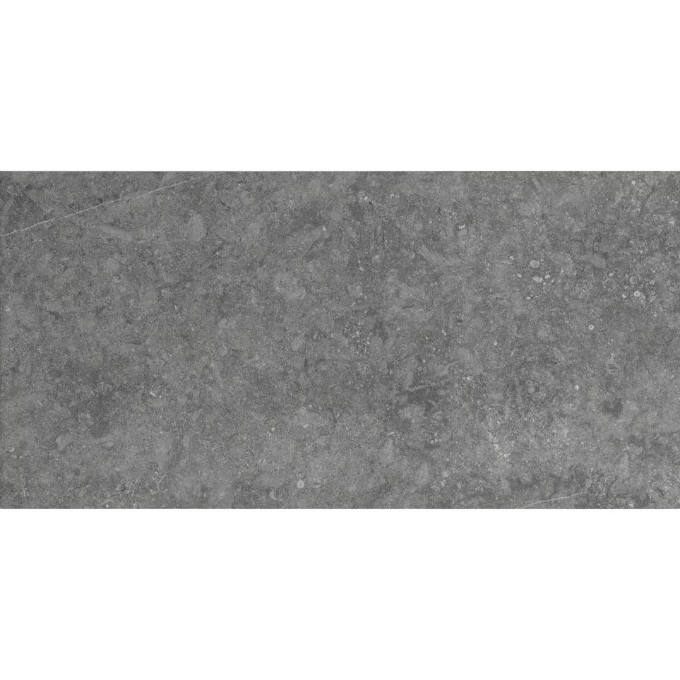 Diplomacy Xterior Paver 20X40 Tx by Daltile - Light Grey Textured