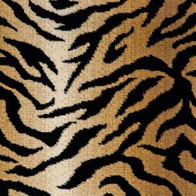 Wildcat Bengal