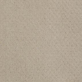 Ts348 - Shy Beige Swatch