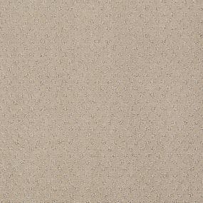 Ts348 - Terrazo Swatch