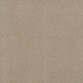 Ts348 - Sandstorm Swatch