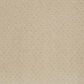 Ts348 - Magic Swatch