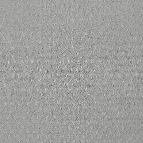 Ts348 - Fine Sage Swatch