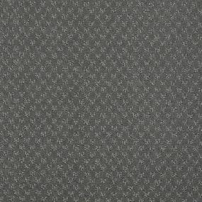 Ts348 - Harbor Seal Swatch
