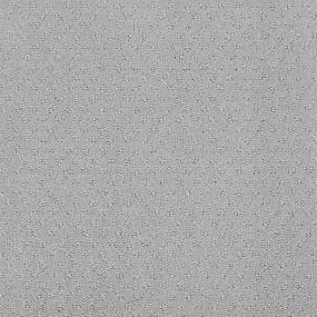 Ts348 - Silver Fox Swatch