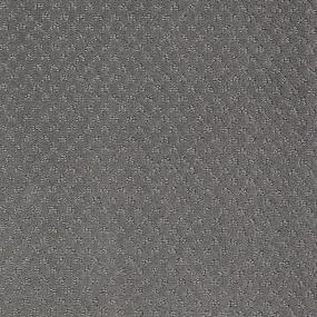 Ts348 - Pewter Swatch