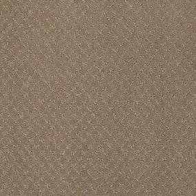 Ts348 - Mystic Brown Swatch