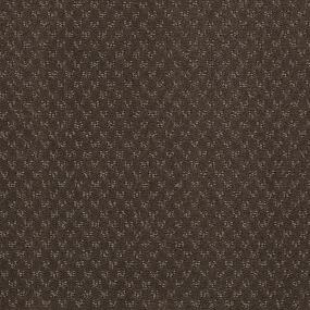 Ts348 - Chocolate Curl Swatch