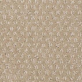 Birch Zoomed Swatch