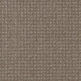 Canvas Zoomed Swatch