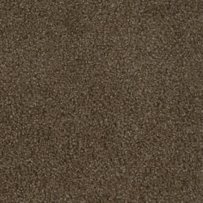Step Up - Boulder Swatch