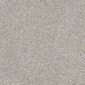 Yorkie Swatch Thumbnail