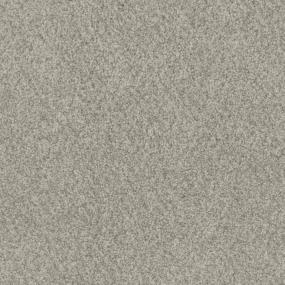 Top Choice Zoomed Swatch