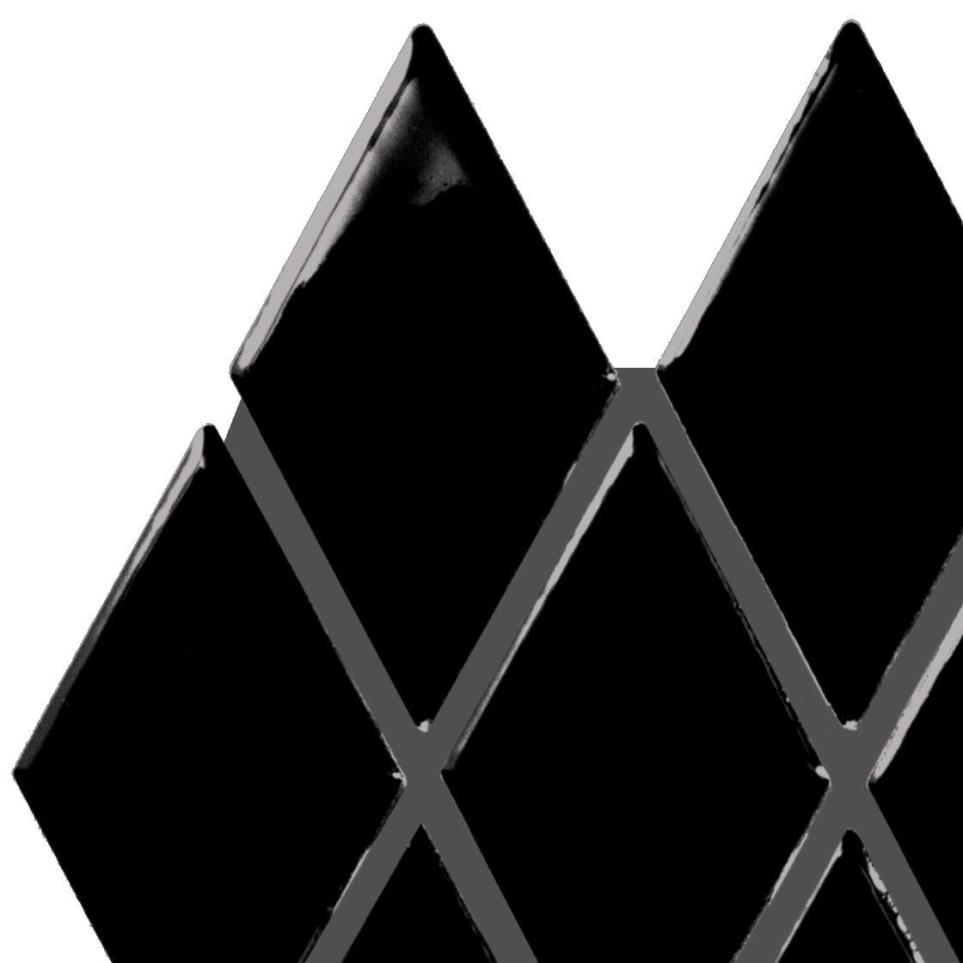 Black Glossy Zoomed Swatch