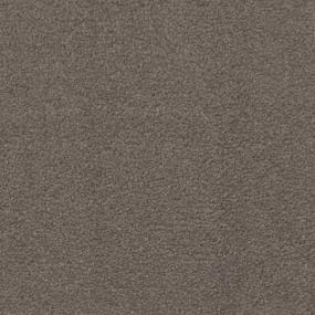 Century Zoomed Swatch