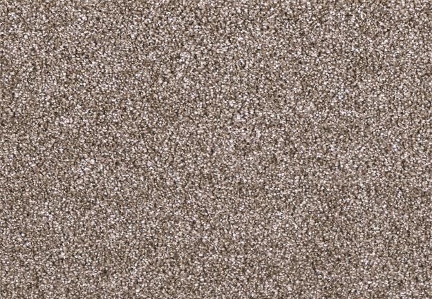 Carpet Flooring