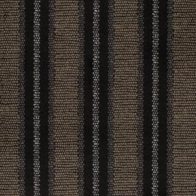 Point Isle Dfb - Tortoise Swatch