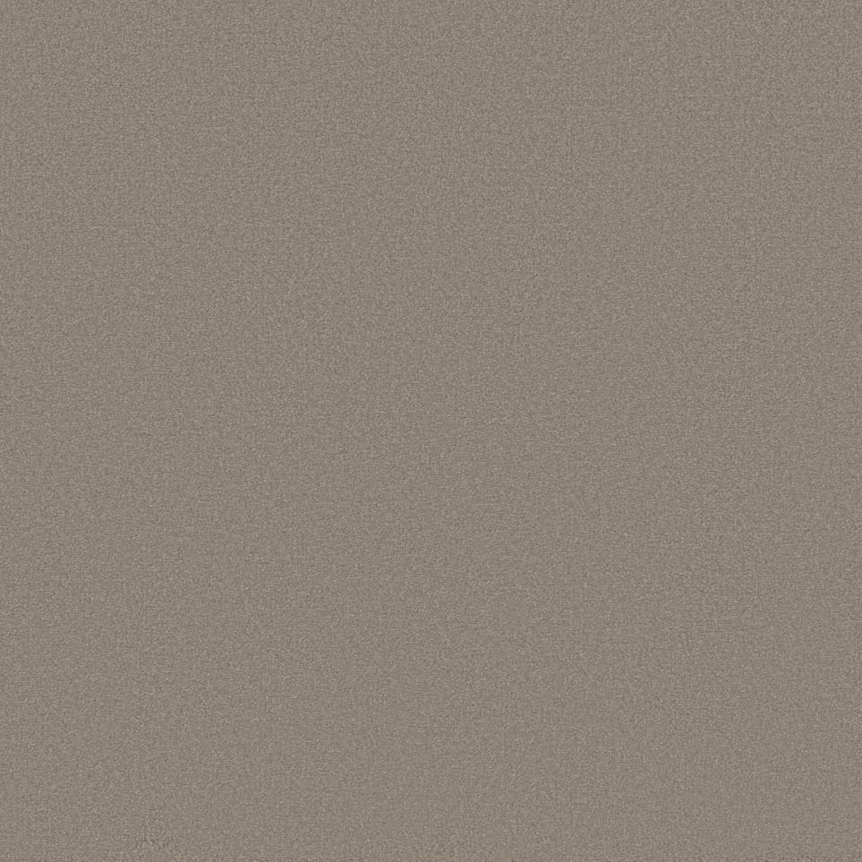 Camel Hair Swatch