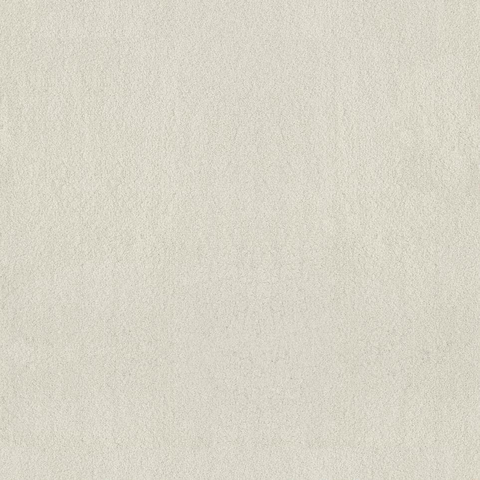 Biscuit Swatch