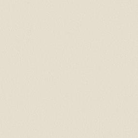Modern Sophistication - Soft Buff Swatch