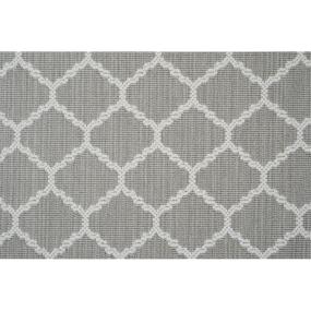 Carnegie - Platinum Swatch