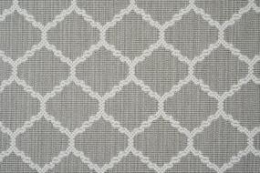 Carnegie - Platinum Swatch