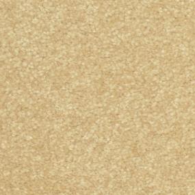 Studio Zoomed Swatch