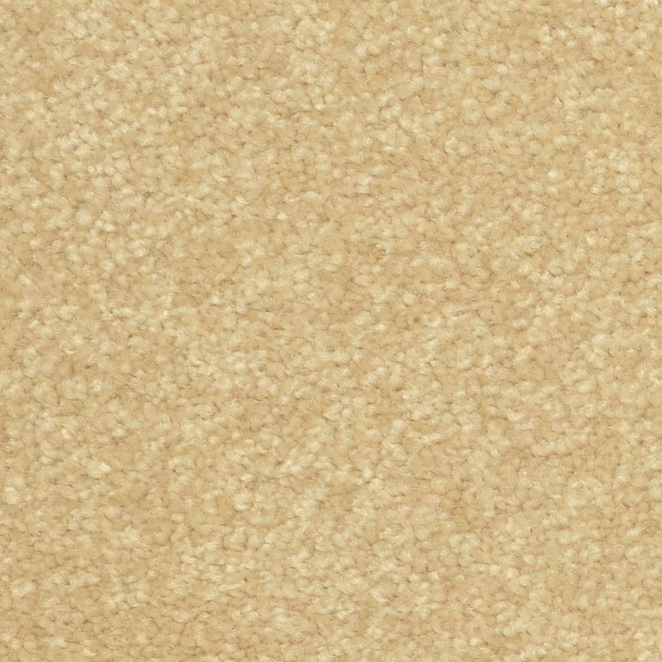 Studio Zoomed Swatch